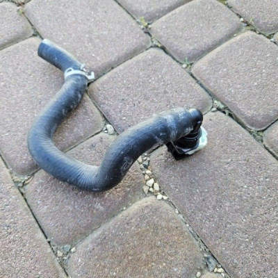 Przewód rura wąż wody 2.5 HYBRYDA XA25A RAV4 Toyota Camry VIII XV70