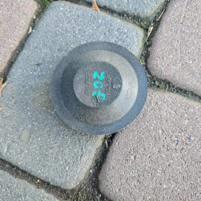 Zaślepka dekielek lampy przód przedniej Renault Zoe 153873-02